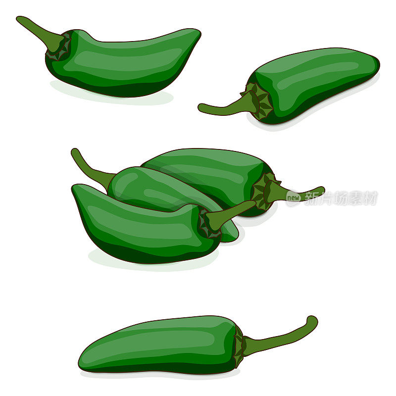 Group of Green Jalapeño chili peppers. Jalapeno. Capsicum annuum. Chili pepper. Fresh organic vegetables. Cartoon style. Vector illustration isolated on white background.